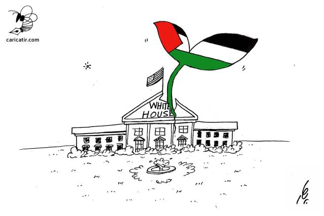 جوانه‌های مقاومت!